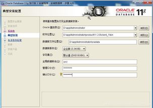 Oracle 11g 在错误 ora-12514 上的处理与优化——源自2019年网络设备攻编项目的技术体验